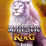 Bahigo Majestic King