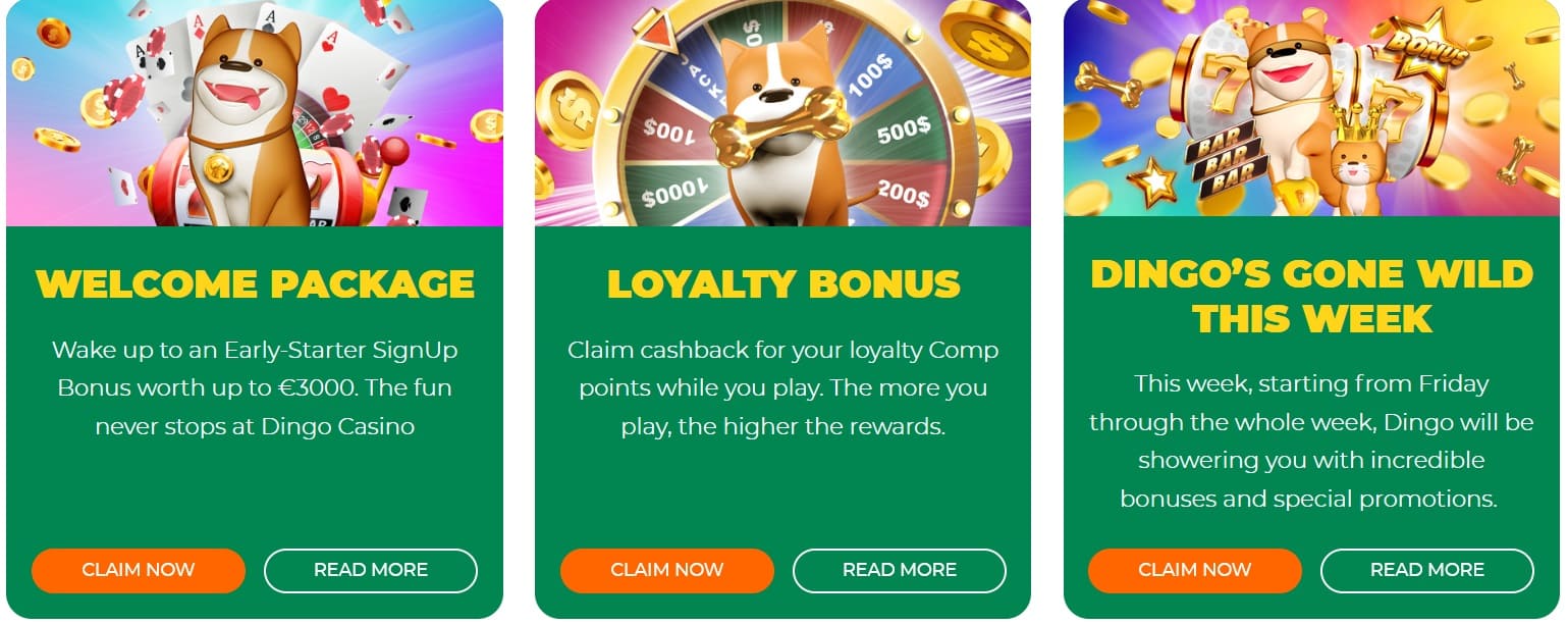 Dingo Casino Bonusangebote